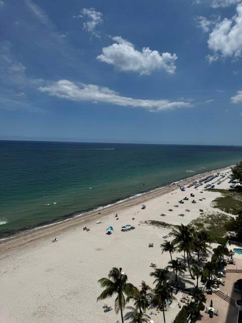 An elevated view of a sandy beach with palm trees and the ocean under blue skies — 1000 S Ocean Boulevard # 14a, Pompano Beach FL 33062, POMPANO BEACH, FL