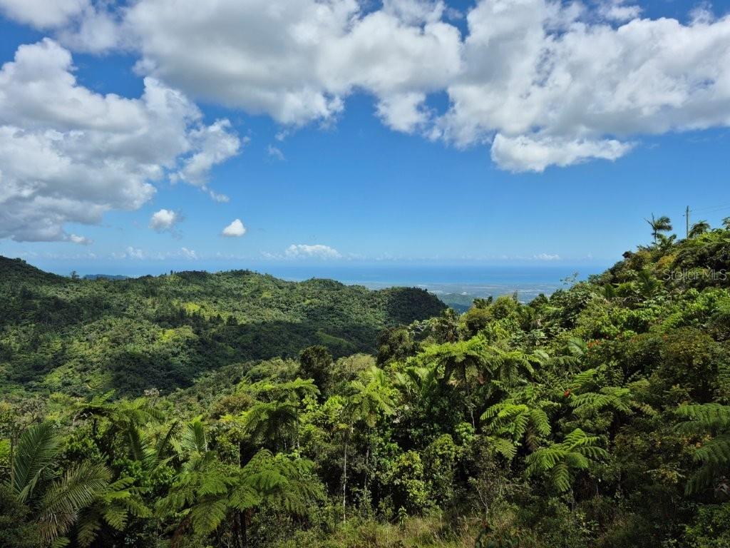 A view of a lush, mountainous landscape overlooking the distant ocean under a cloudy sky — KM 24.1 PR 143, JUANA DIAZ, PR