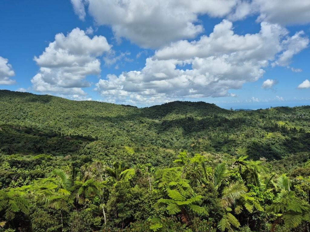A lush, green mountain landscape under a bright blue sky with scattered white clouds — KM 24.1 PR 143, JUANA DIAZ, PR