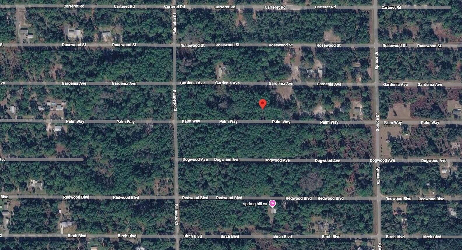 This is an aerial map view of a wooded residential area with marked street names — 418 Palm Way, FL 32139, FL