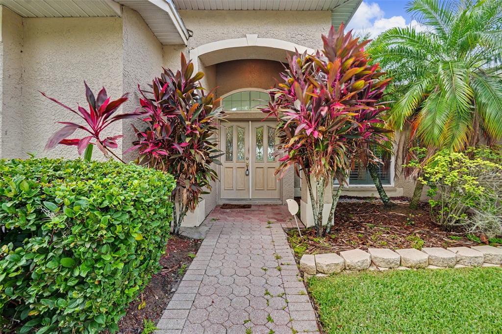 A paved walkway leads to a double front door framed by two large, colorful tropical plants — 12507 ROYAL DUBLIN AVENUE, ODESSA, FL