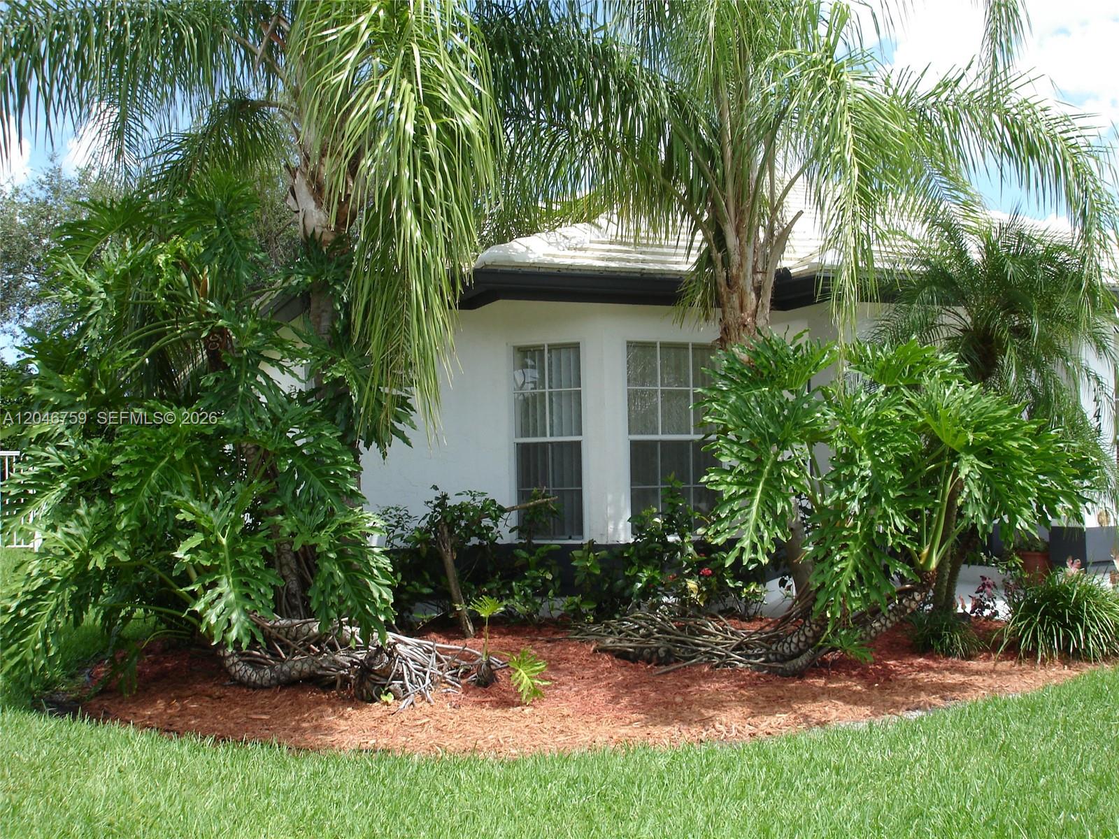 The exterior of a white house features large philodendron plants and palm trees in front — 2444 Stonegate Dr, Wellington FL 33414, WELLINGTON, FL