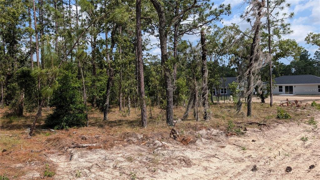 A wooded lot with sandy ground and a house visible in the background — lot 32 NW HEMLOCK AVENUE, DUNNELLON, FL