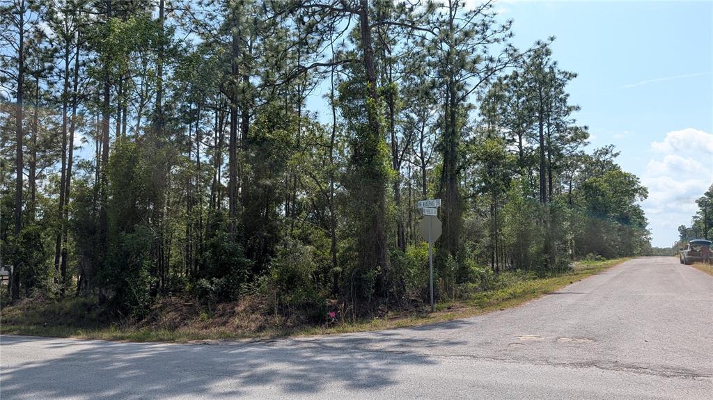 A street corner with a stop sign and a wooded lot under a blue sky — lot 32 NW HEMLOCK AVENUE, DUNNELLON, FL