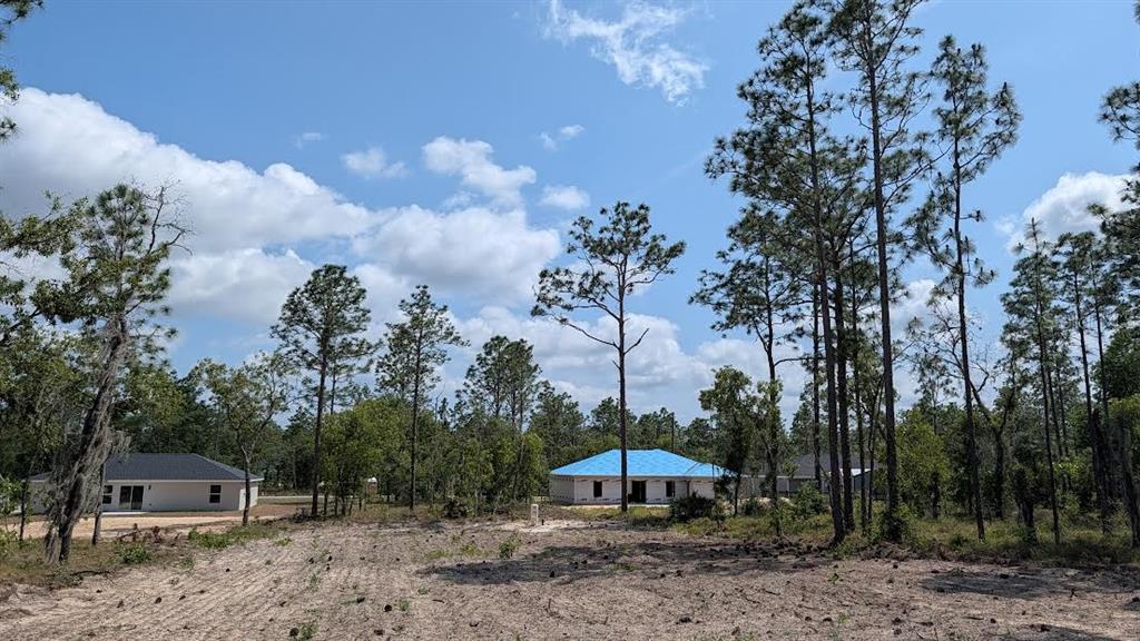 A view of a cleared lot with two houses surrounded by tall pine trees — lot 32 NW HEMLOCK AVENUE, DUNNELLON, FL
