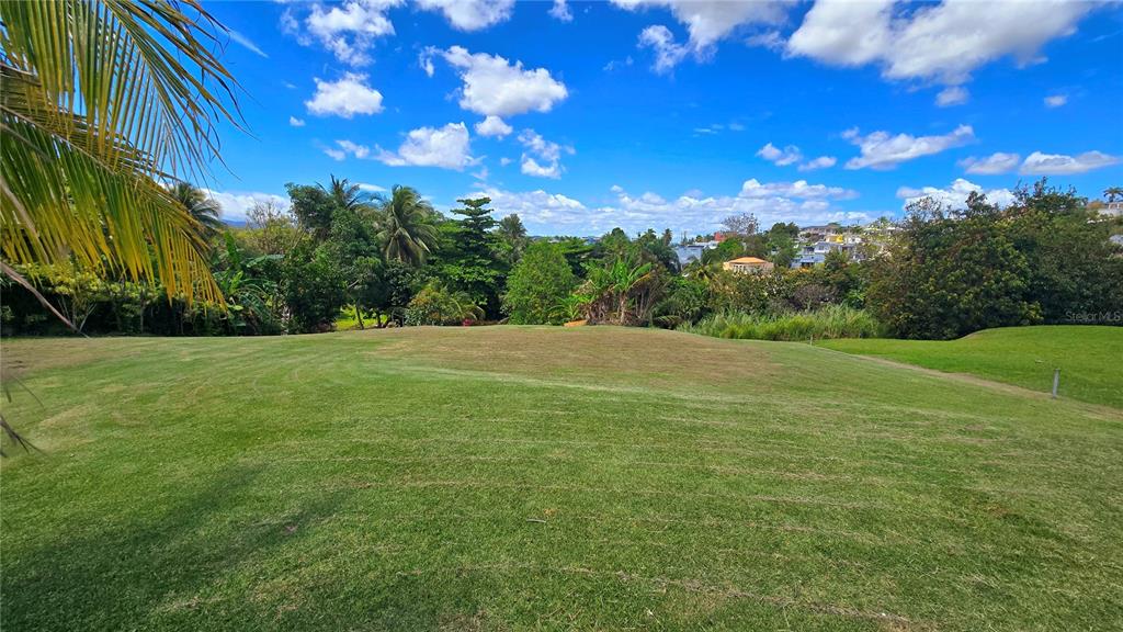 A grassy, sloped lot overlooks lush tropical trees and a distant body of water — CALLE CEMI URB. HACIENDAS DEL CARIBE UNIT B6, TOA ALTA, PR