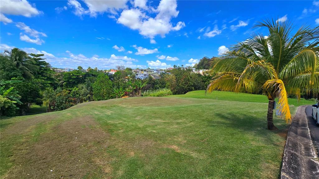 A grassy, sloped lot features a palm tree and overlooks a distant residential neighborhood — CALLE CEMI URB. HACIENDAS DEL CARIBE UNIT B6, TOA ALTA, PR