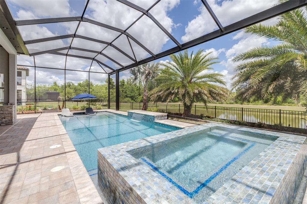A screened-in pool and spa area with a patio overlooking a pond and palm trees — 7190 GRAYBROOK DRIVE, WESLEY CHAPEL, FL