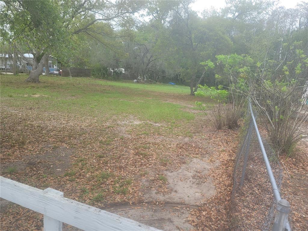 A grassy, partially shaded lot is enclosed by a chain-link fence and a white railing — 11641 BRUIN DRIVE, NEW PORT RICHEY, FL