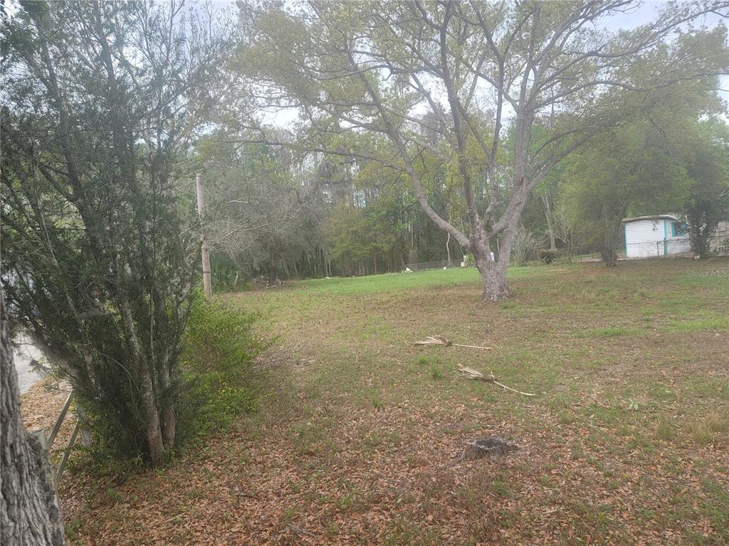 A grassy, tree-filled vacant lot with a small white structure visible in the background — 11641 BRUIN DRIVE, NEW PORT RICHEY, FL