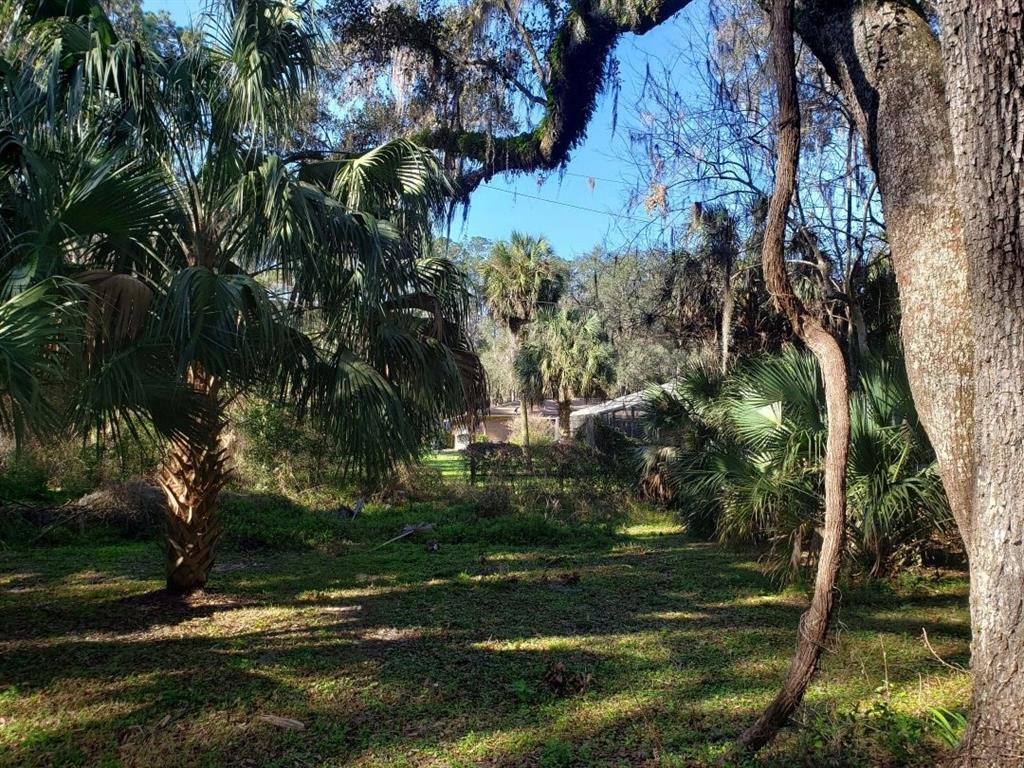 A grassy yard with palm trees and large oaks leads toward a house in the distance — 2929 SW 2ND COURT, GAINESVILLE, FL