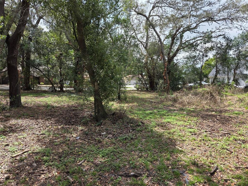A wooded, undeveloped residential lot with scattered trees and patches of grass — KELLY LYNN COURT, ZEPHYRHILLS, FL
