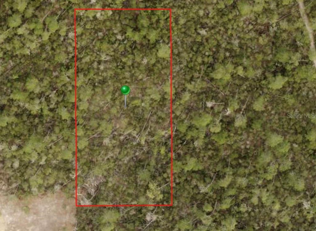 An aerial view shows a rectangular plot of land outlined in red within a wooded area — RYLAND STREET, DELTONA, FL