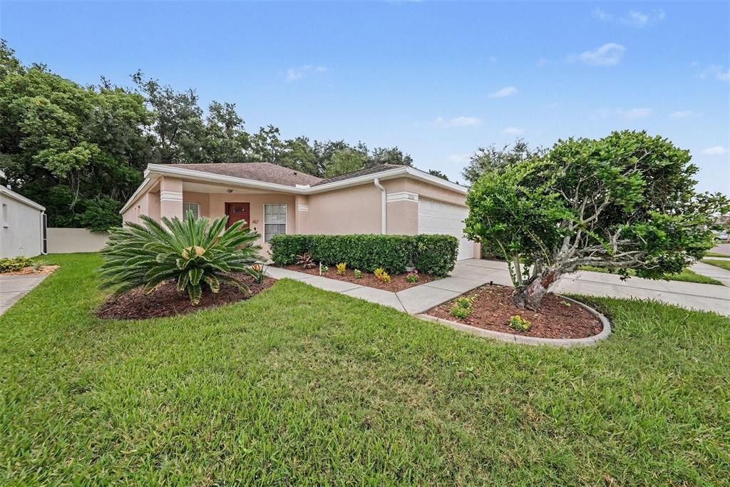 A single-story house with a beige exterior, a front lawn, and a paved driveway — 26351 WHIRLAWAY TERRACE, WESLEY CHAPEL, FL