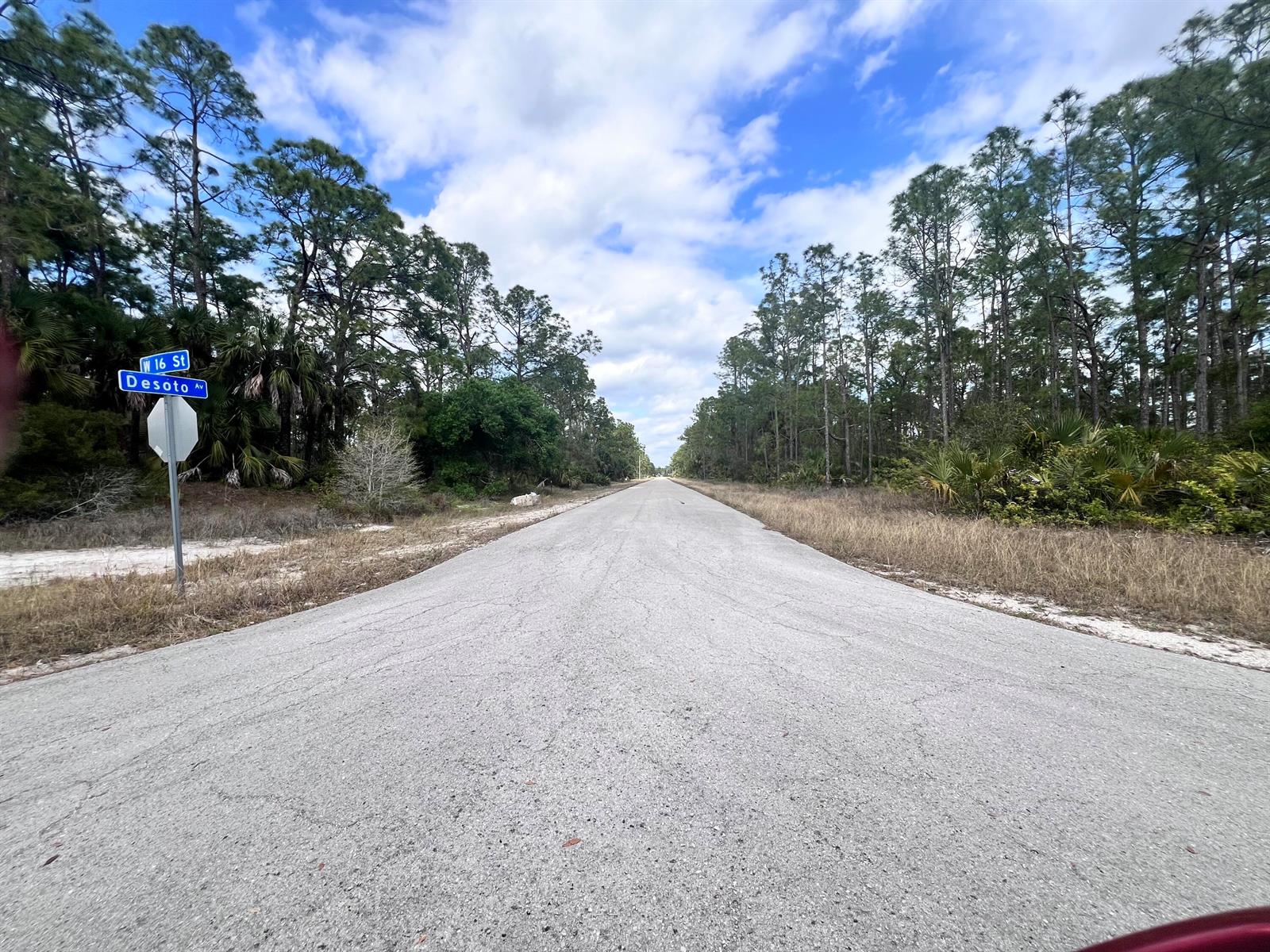 A paved road stretches into a wooded area with a street sign for Desoto Avenue — 1610 Desoto Avenue, FL 33972, FL
