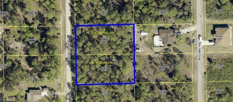 This is an aerial map showing two adjacent, undeveloped wooded lots outlined in blue — 1610 Desoto Avenue, FL 33972, FL
