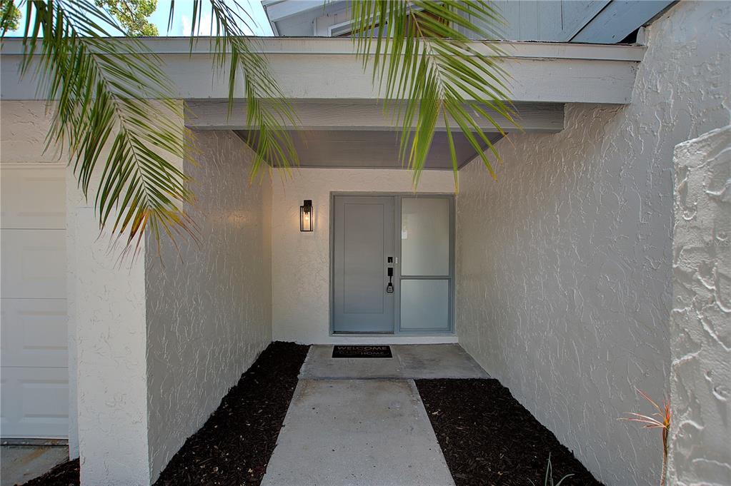 A gray front door with a side window sits under a covered entryway with palm fronds — 3906 BLOOMING HILL LANE, PALM HARBOR, FL