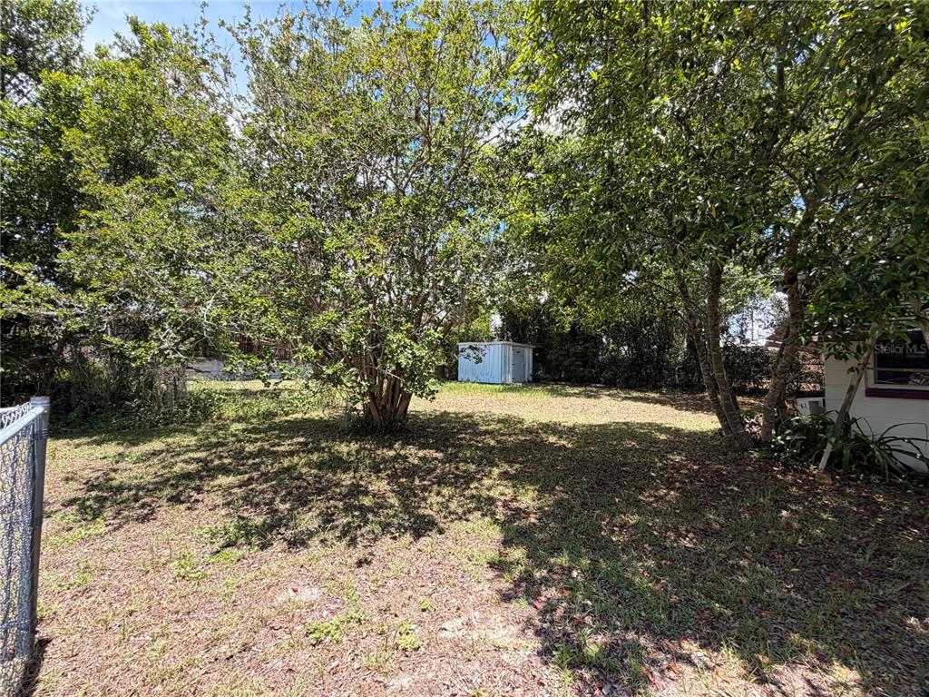 A grassy backyard features a large tree, a small storage shed, and a chain-link fence — 66 S WASHINGTON STREET, BEVERLY HILLS, FL