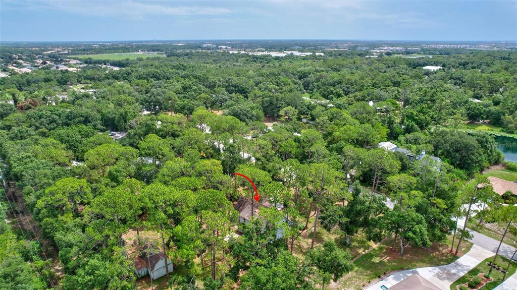 An aerial view shows a house nestled among dense trees with a red arrow pointing down — 9607 OAK RUN DRIVE, BRADENTON, FL