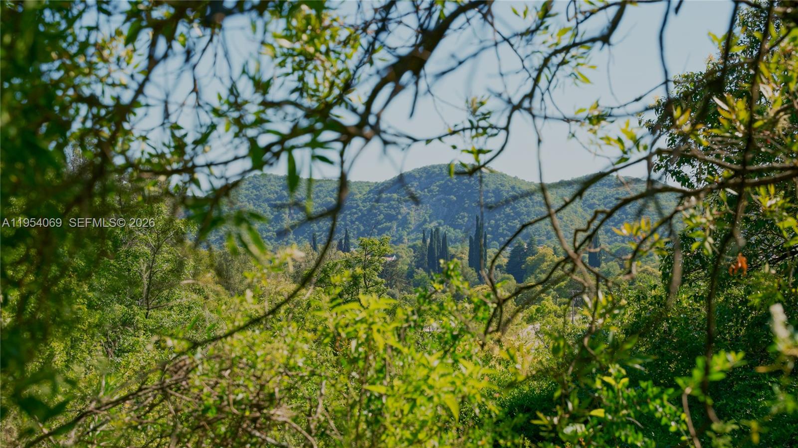 A view of a forested hillside framed by foreground tree branches under a clear sky — 1 Segundo Paredon, ALTA GRACIA, 5186, FL