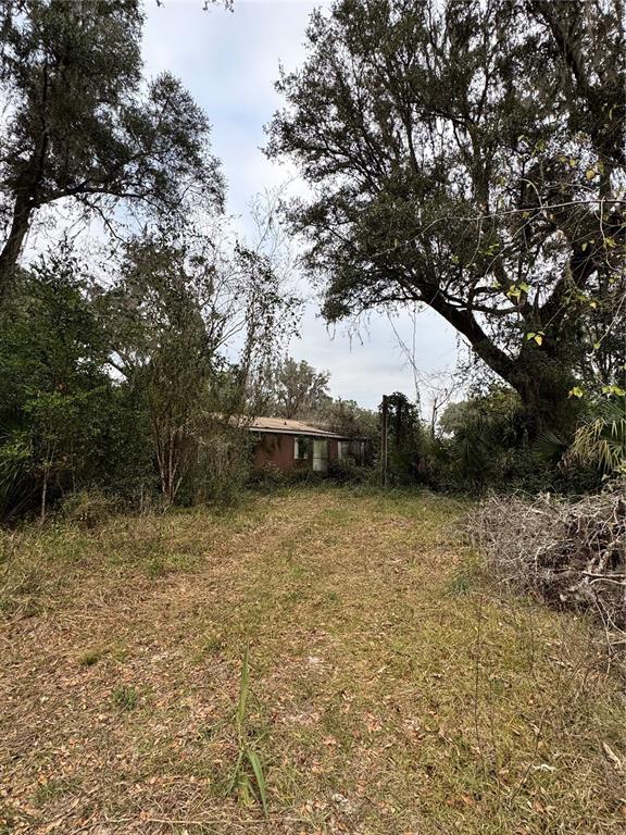 A small, weathered house sits in a clearing surrounded by large, moss-covered oak trees — 291 SE 81ST STREET, OCALA, FL