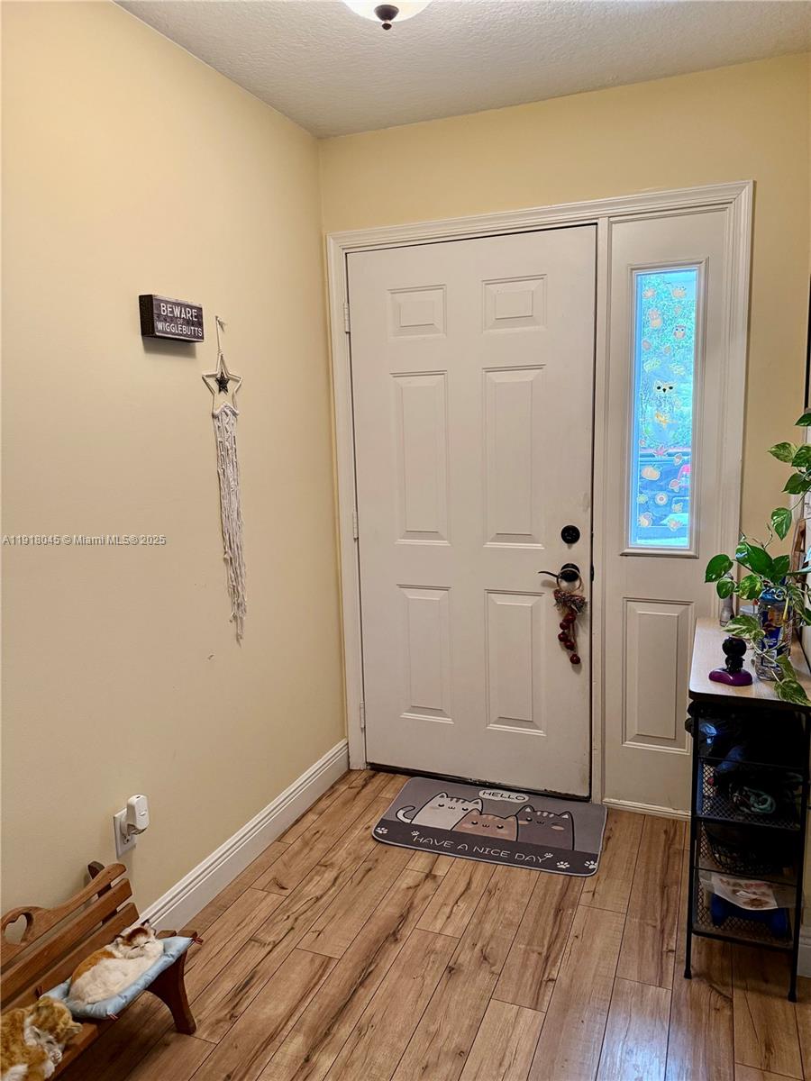 An entryway features light-colored walls, wood-look flooring, a white front door, and a cat mat — 737 SE 22nd Dr, Homestead FL 33033, HOMESTEAD, FL