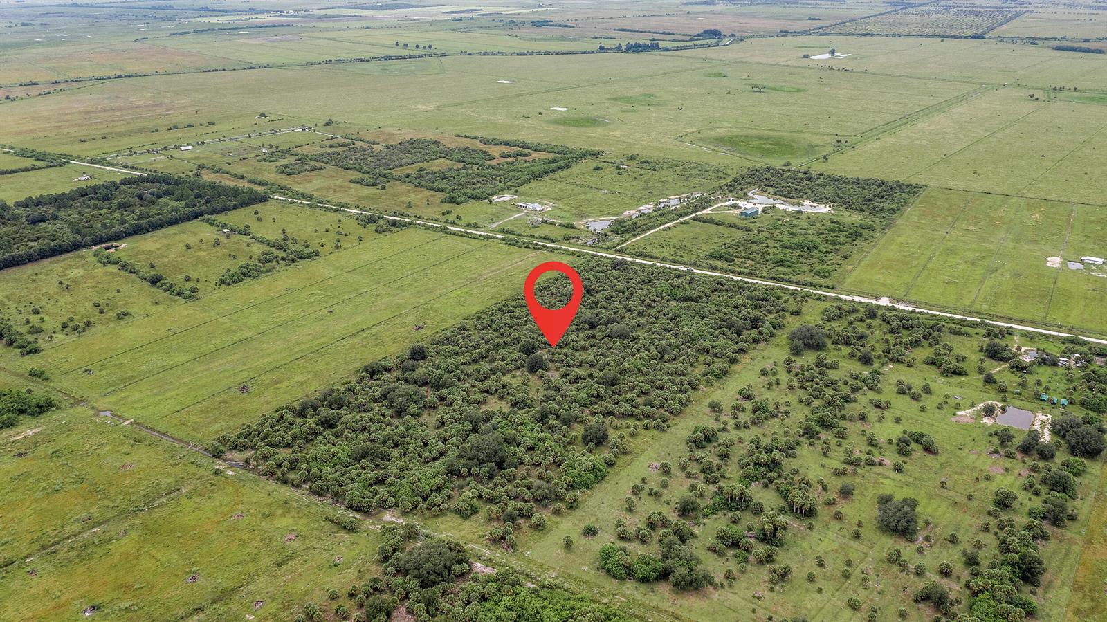 An aerial view shows a red map pin marking a wooded area surrounded by pastures — 2095 Cabbage Drive, Okeechobee FL 34974, OKEECHOBEE, FL