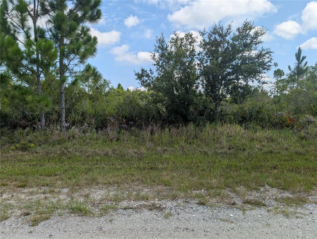 A view of a grassy, undeveloped lot with trees and brush under a cloudy sky — 920 & 922 ALTHEA DRIVE, INDIAN LAKE ESTATES, FL
