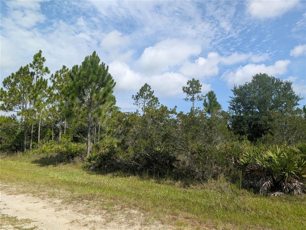 A dirt path runs alongside a wooded lot with pine trees and low-lying vegetation — 920 & 922 ALTHEA DRIVE, INDIAN LAKE ESTATES, FL
