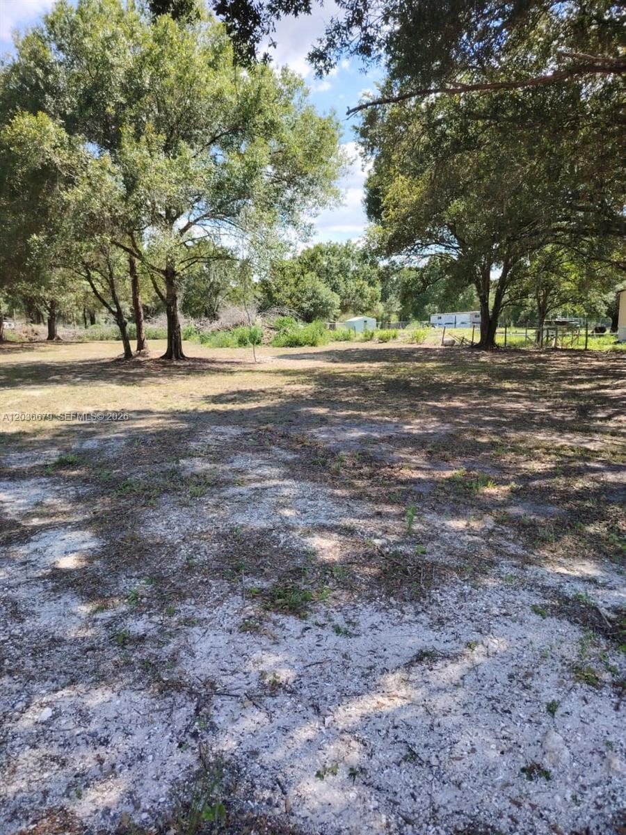 A large, flat, sandy lot with several mature trees and distant structures in the background — 630 Pine Cove Ave, Clewiston FL 33440, CLEWISTON, FL