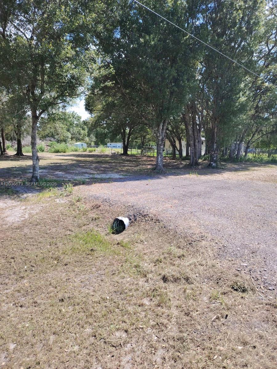 A gravel driveway leads to a grassy lot with mature trees and a drainage pipe — 630 Pine Cove Ave, Clewiston FL 33440, CLEWISTON, FL