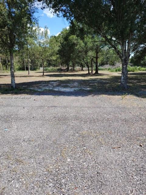 A gravel driveway leads to a cleared, grassy lot surrounded by mature trees — 630 Pine Cove Ave, Clewiston FL 33440, CLEWISTON, FL