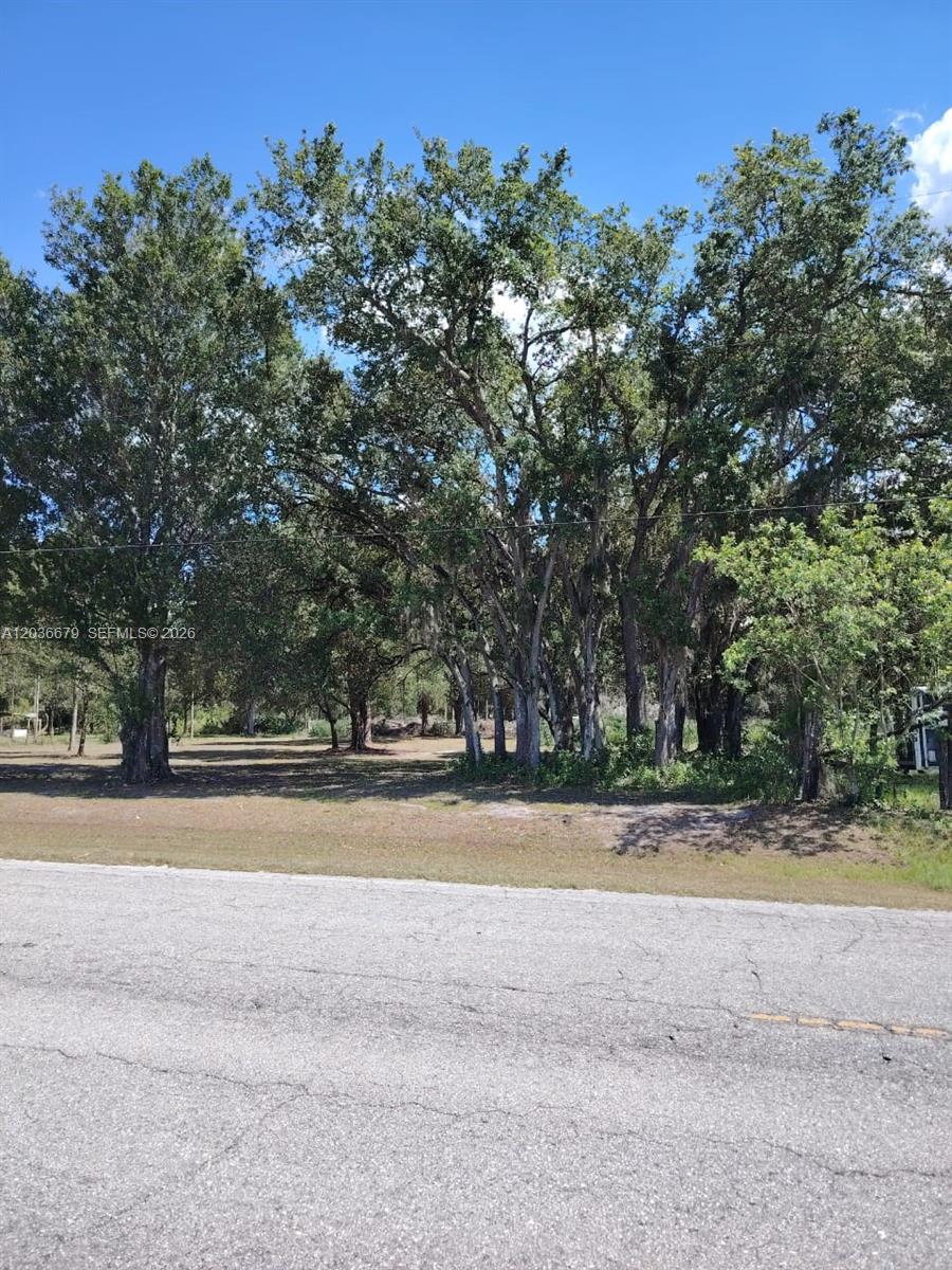 A grassy lot with several large, mature trees stands behind a paved road — 630 Pine Cove Ave, Clewiston FL 33440, CLEWISTON, FL