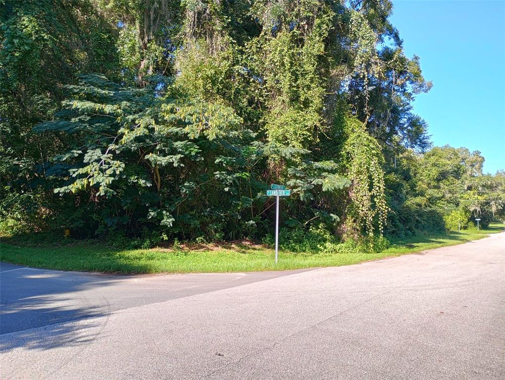 A street corner with a road sign in front of a dense, wooded lot — 11704 N LANDOVER TERRACE, CITRUS SPRINGS, FL