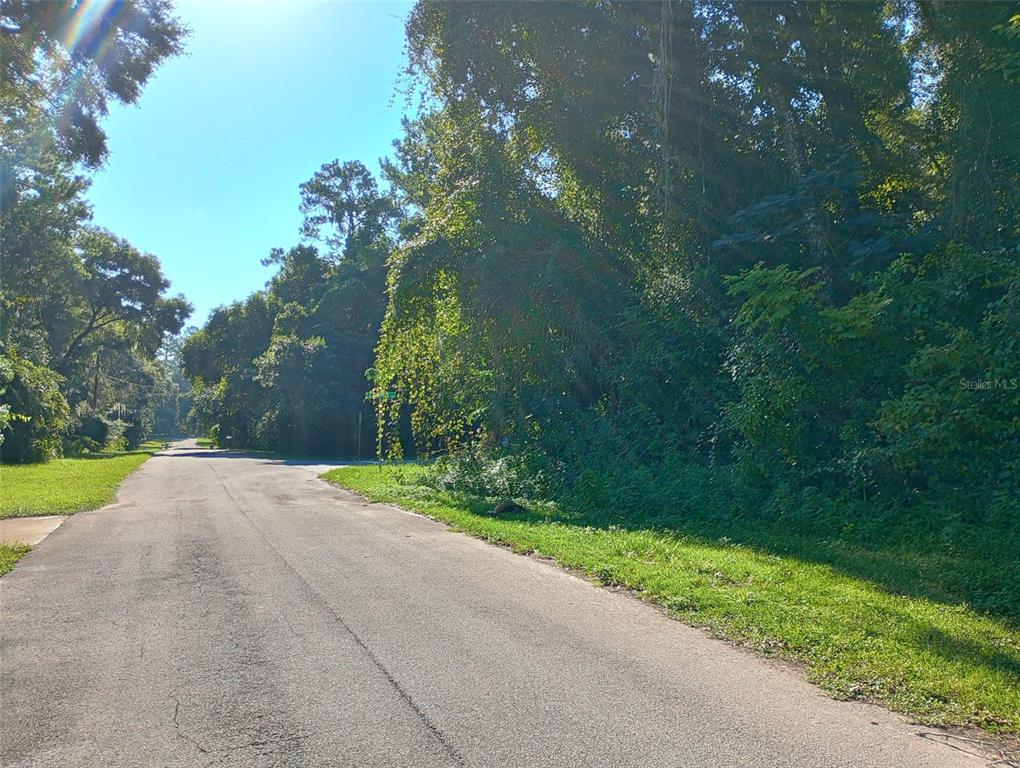 A paved road runs alongside a densely wooded lot on a sunny day — 11704 N LANDOVER TERRACE, CITRUS SPRINGS, FL