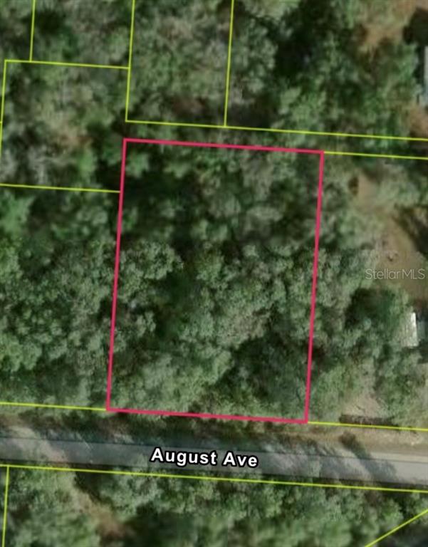 This is an aerial map showing a rectangular plot of land bordering August Ave — 34039 AUGUST AVENUE, WEBSTER, FL