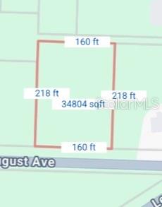 This map shows a rectangular plot of land measuring 160 feet by 218 feet — 34039 AUGUST AVENUE, WEBSTER, FL
