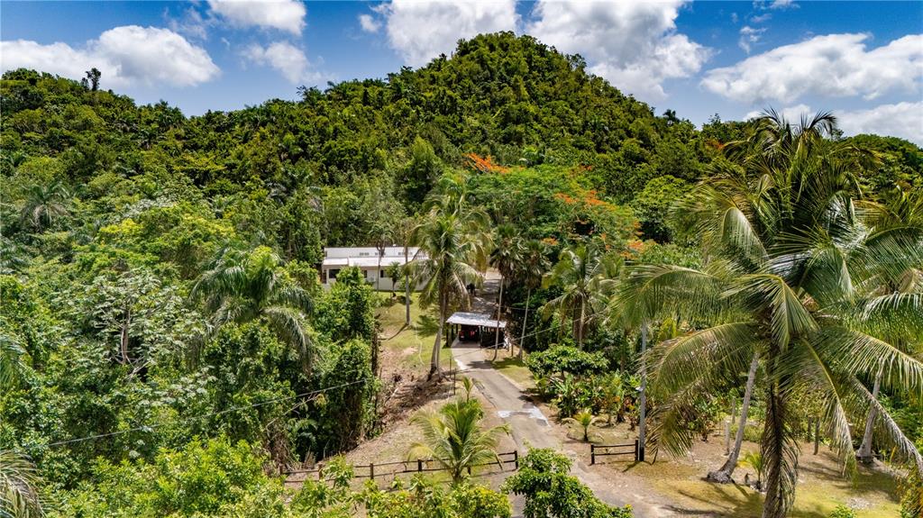 An aerial view shows a white house nestled in a lush, green, mountainous landscape — Comm Cienguetas #33 BO ESPERANZA, ARECIBO, PR