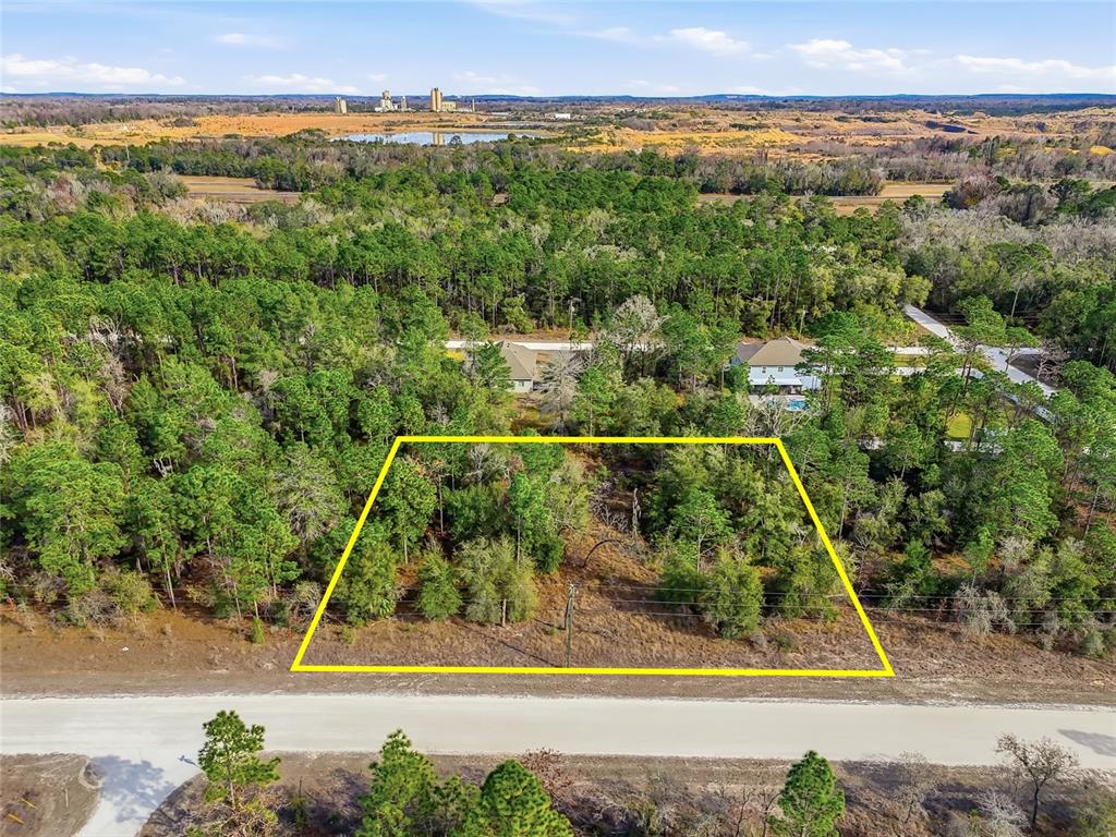 An aerial view shows a rectangular, wooded vacant lot outlined in yellow along a road — CHIMNEY SWIFT ROAD, WEEKI WACHEE, FL