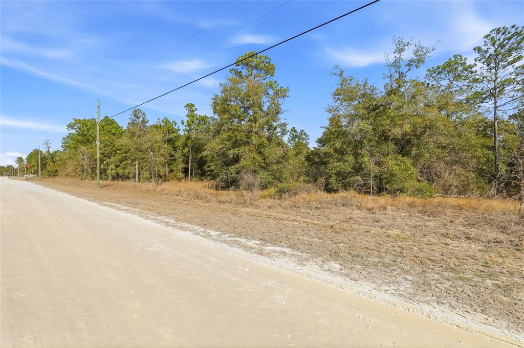 A dirt road runs alongside a wooded lot under a blue sky — CHIMNEY SWIFT ROAD, WEEKI WACHEE, FL