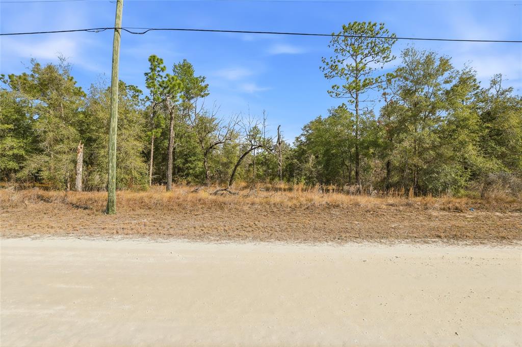 A dirt road runs in front of a wooded lot with scattered trees and brush — CHIMNEY SWIFT ROAD, WEEKI WACHEE, FL