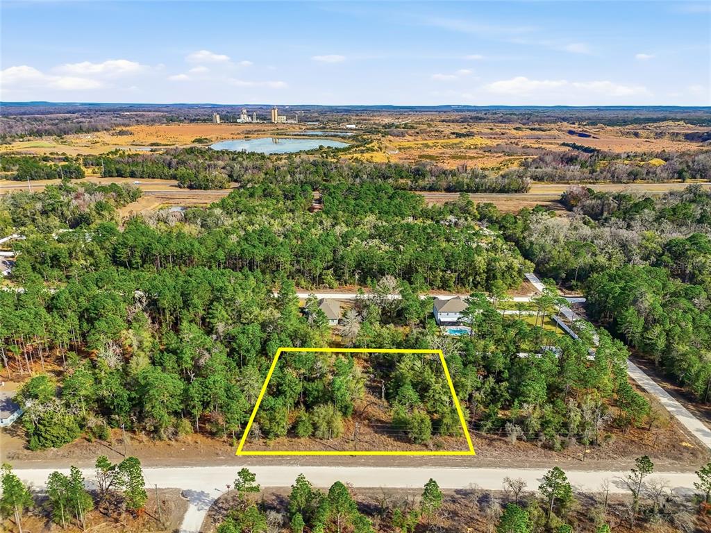 An aerial view shows a rectangular, wooded lot outlined in yellow along a paved road — CHIMNEY SWIFT ROAD, WEEKI WACHEE, FL