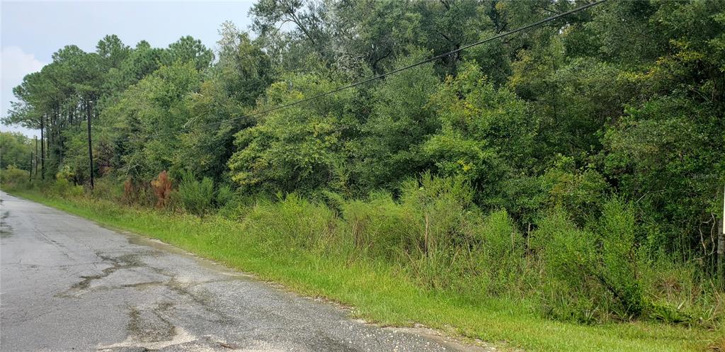A paved road runs alongside a dense, wooded lot with overhead power lines — 1179 N TESSA TERRACE, CRYSTAL RIVER, FL