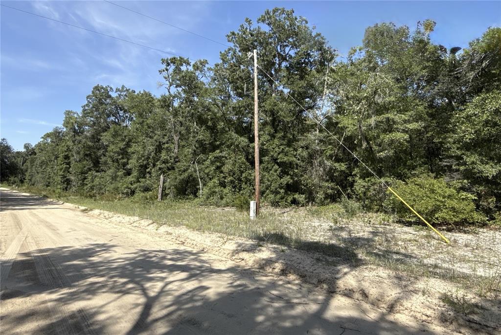A dirt road runs alongside a wooded lot with a utility pole and guy wire — 0 GLORIA AVENUE, INTERLACHEN, FL