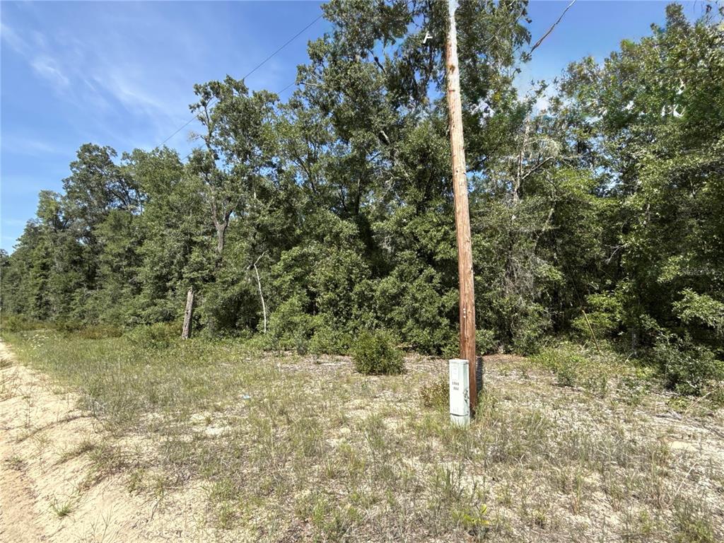 A utility pole and electrical box stand on a sandy, wooded lot — 0 GLORIA AVENUE, INTERLACHEN, FL