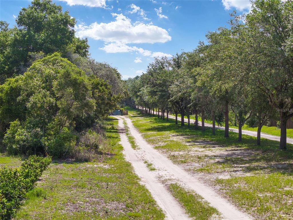 A dirt driveway leads through a grassy area lined with trees under a blue sky — 17171 SW 17TH CIRCLE, OCALA, FL