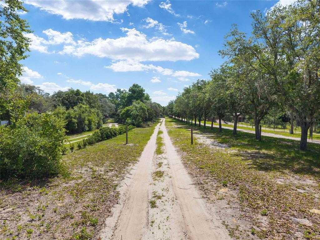 A dirt driveway leads through a grassy field lined with trees under a blue sky — 17171 SW 17TH CIRCLE, OCALA, FL