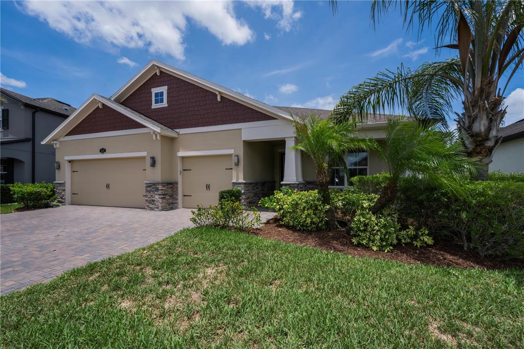 A backyard features a rectangular swimming pool and an attached spa with tiled siding — 18233 ROSEATE DRIVE, LUTZ, FL