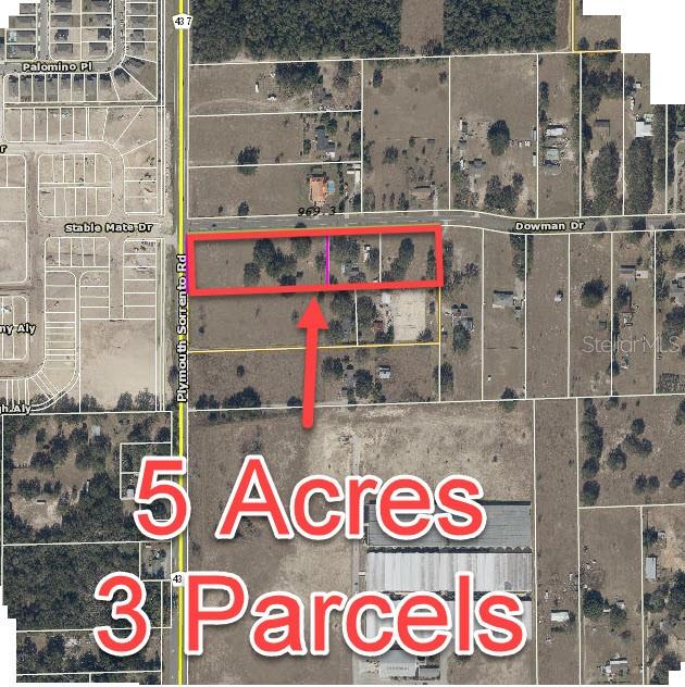 This is an aerial map showing three adjacent land parcels outlined in red — 2864 DOWMAN DRIVE, APOPKA, FL