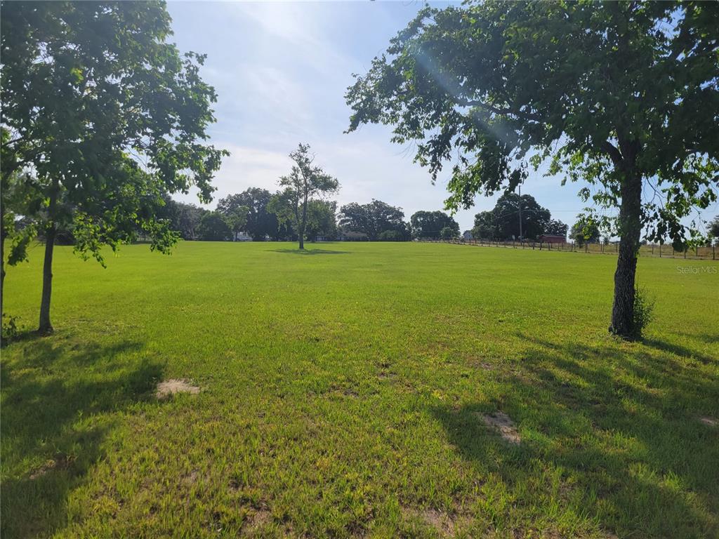 A large, grassy, open field is framed by several mature trees under a bright sky — 2864 DOWMAN DRIVE, APOPKA, FL
